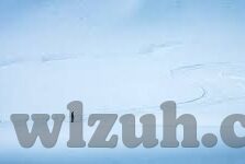av在线日韩亚洲色图-日韩文化探索，在线内容与艺术欣赏的界限