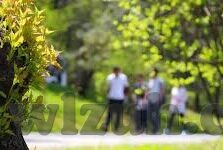 成人性视频3-成人性视频3，网络时代的伦理边界与个人选择