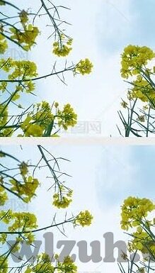 黄色日韩av在线-黄色日韩AV在线，网络文化与道德边界的探讨