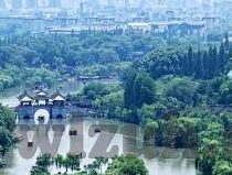 欧美成人av在线视频-欧美成人AV在线视频，文化、艺术与个人选择的交汇