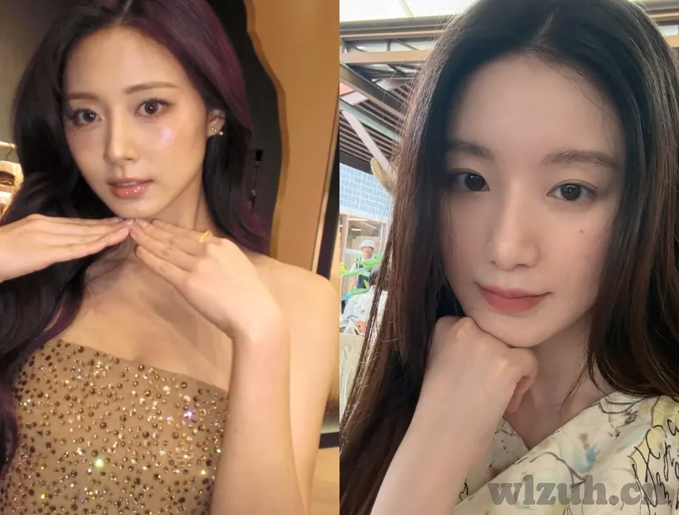 欧美大象视频在线播放-探索自然奇观，欧美大象的生态与行为