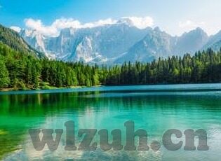 糖心app破解版免次数-导向健康之网，理性选择与幸福生活的基石