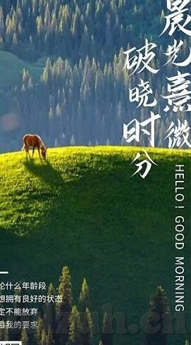 糖心vlog下载链接-分享，走进糖心Vlog的精彩世界——下载资源指南