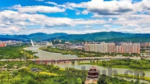 五s社区成人免费视频-五S社区，成人内容与网络边界的探讨