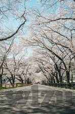 亚洲在线日韩电影AV-亚洲在线日韩电影，文化、艺术与观赏的多元视角