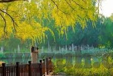 追妻三人行百度百科-追妻三人行，一场现代爱情喜剧的深度剖析